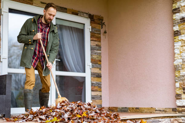 Best Yard Cleanup Services  in Pawtucket, RI